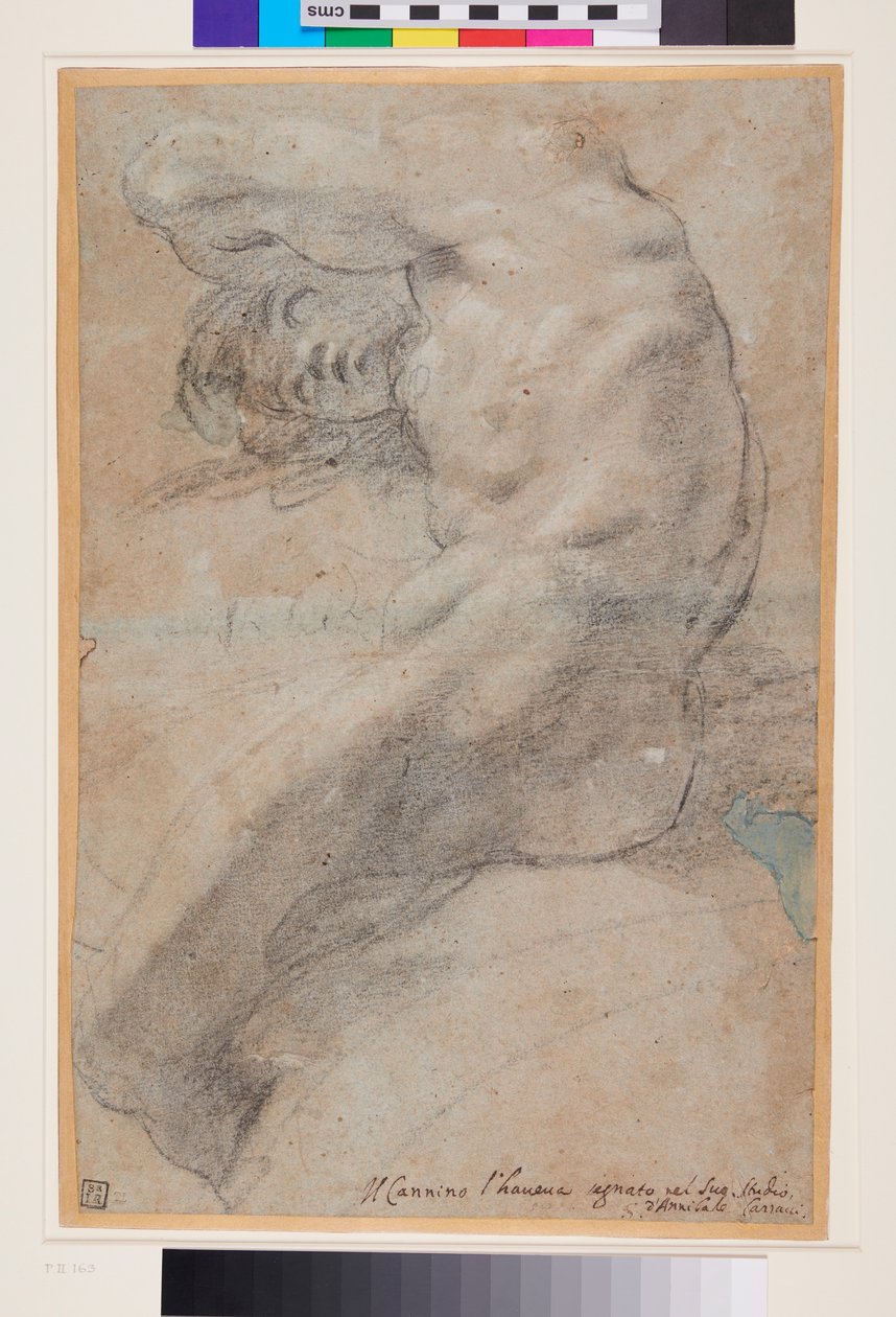 Studio di un uomo nudo, 1560-1609 circa (gessetti in bianco e nero su carta grigio-blu) da Annibale Carracci