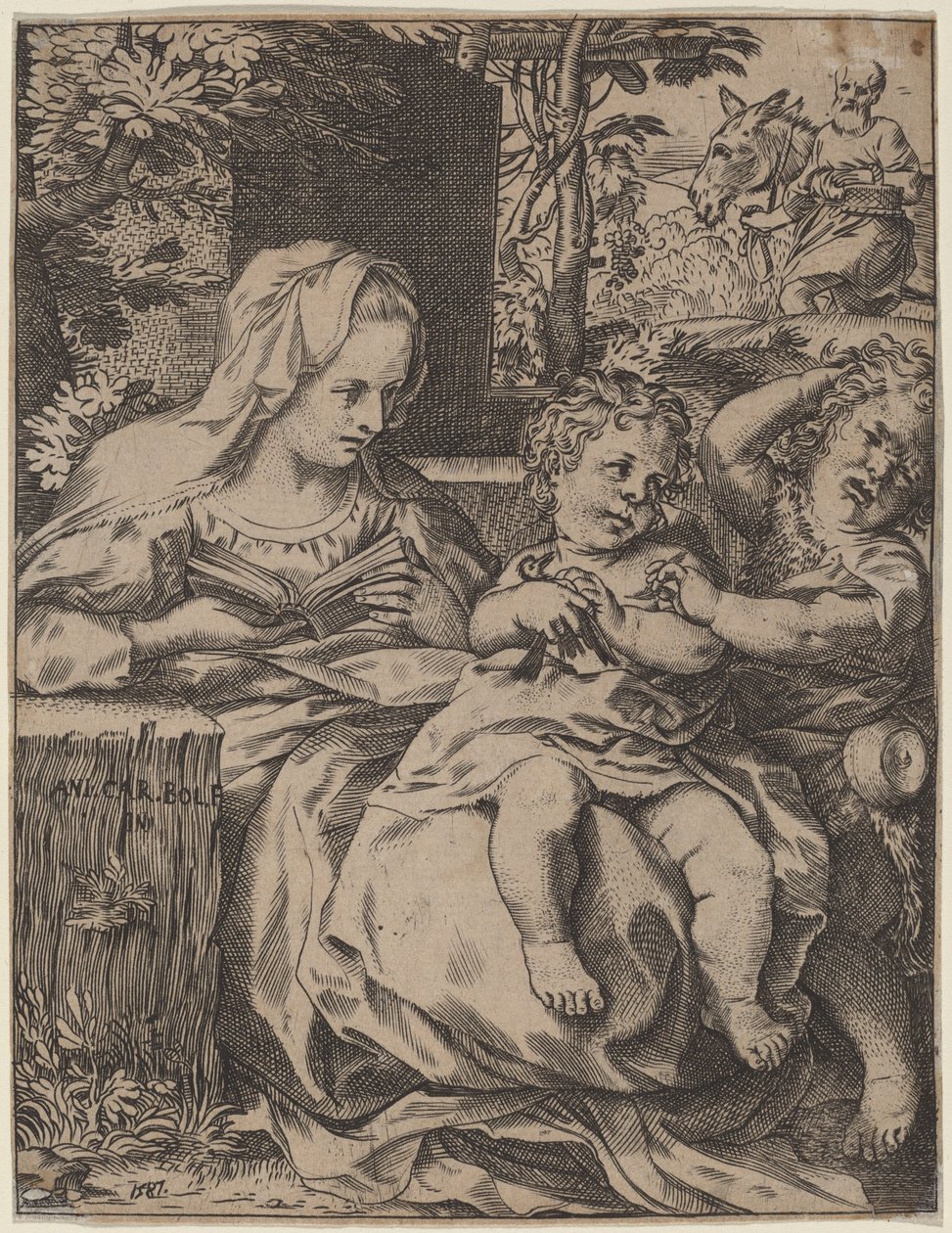 La Madonna della rondine da Annibale Carracci