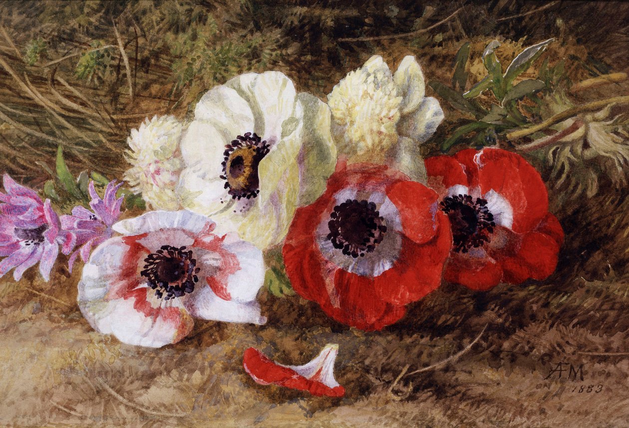 Anemoni da Annie Feray Mutrie
