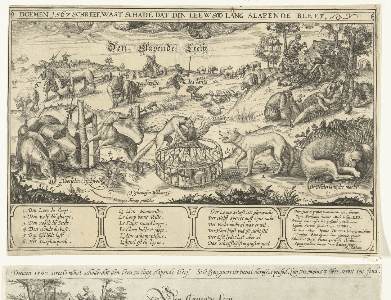 Il leone dormiente, 1567 da Anonymous