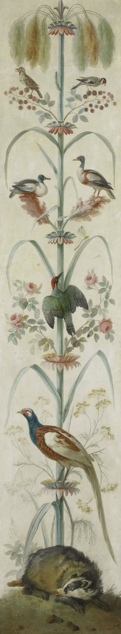 Raffigurazione decorativa con piante e animali da Anonymous