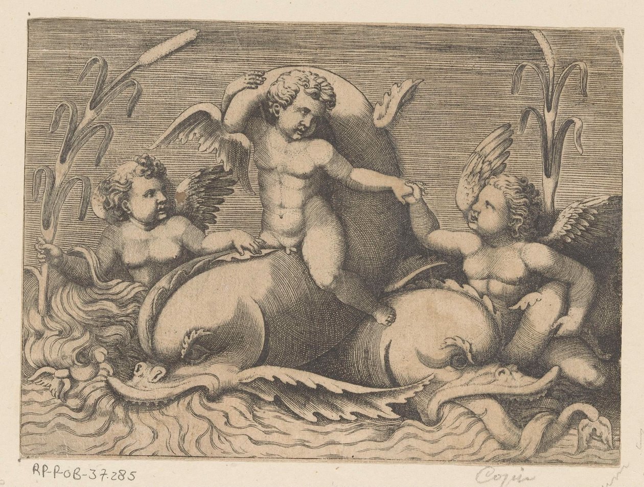 Tre putti con delfini da Anonymous
