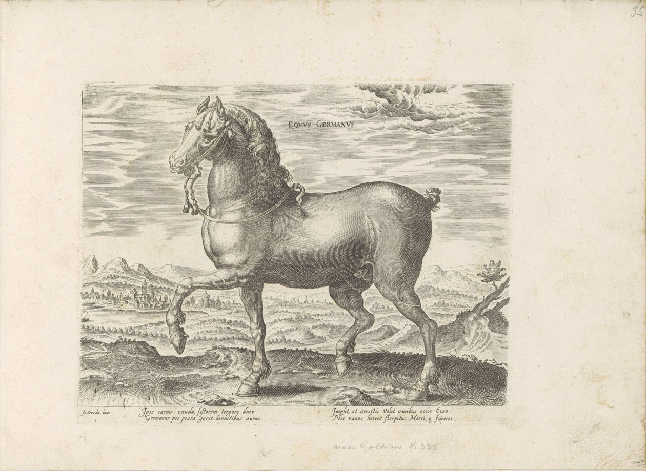 Cavallo tedesco da Anonymous