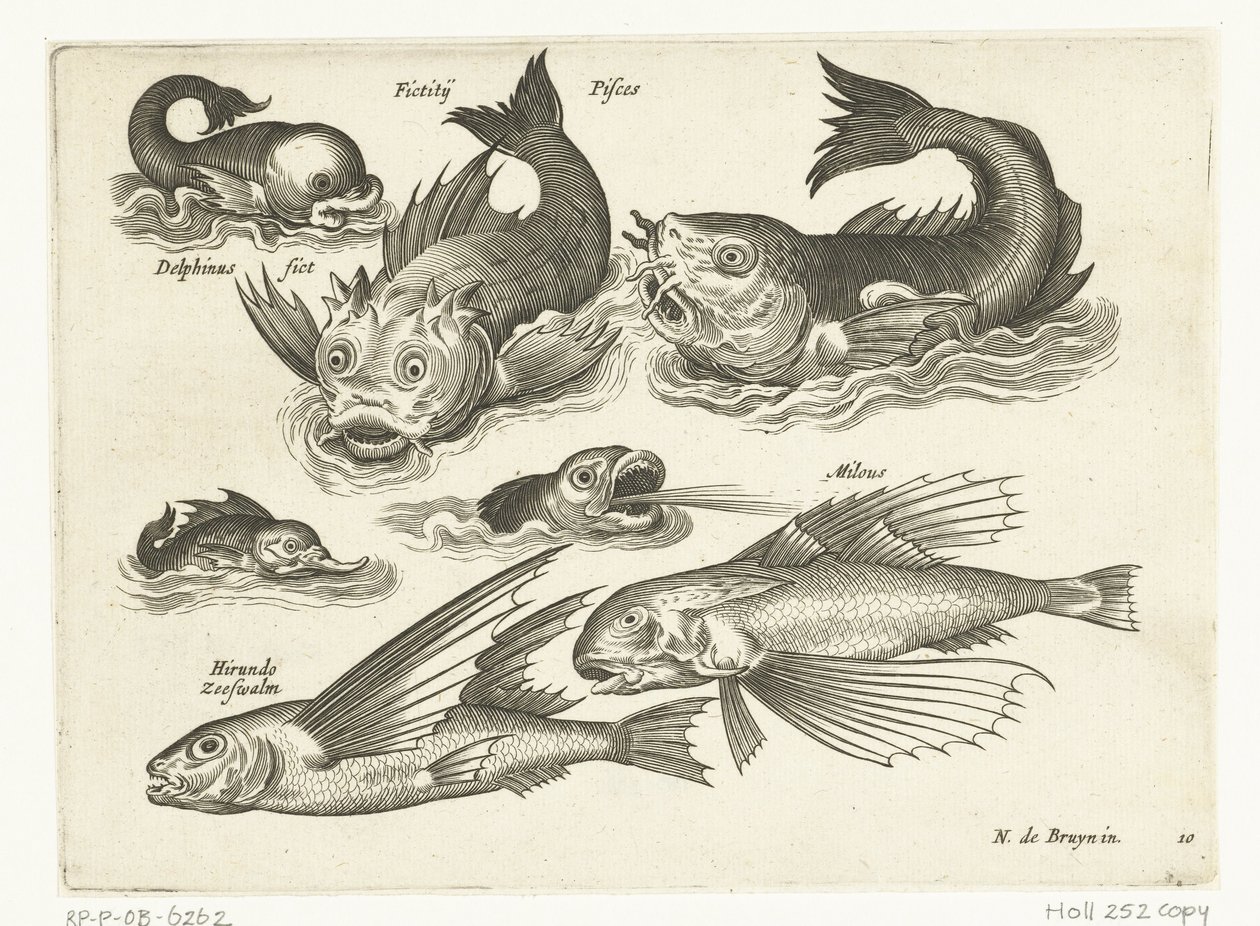 Animali acquatici fantastici, tra cui delfino e pesce sega da Anonymous