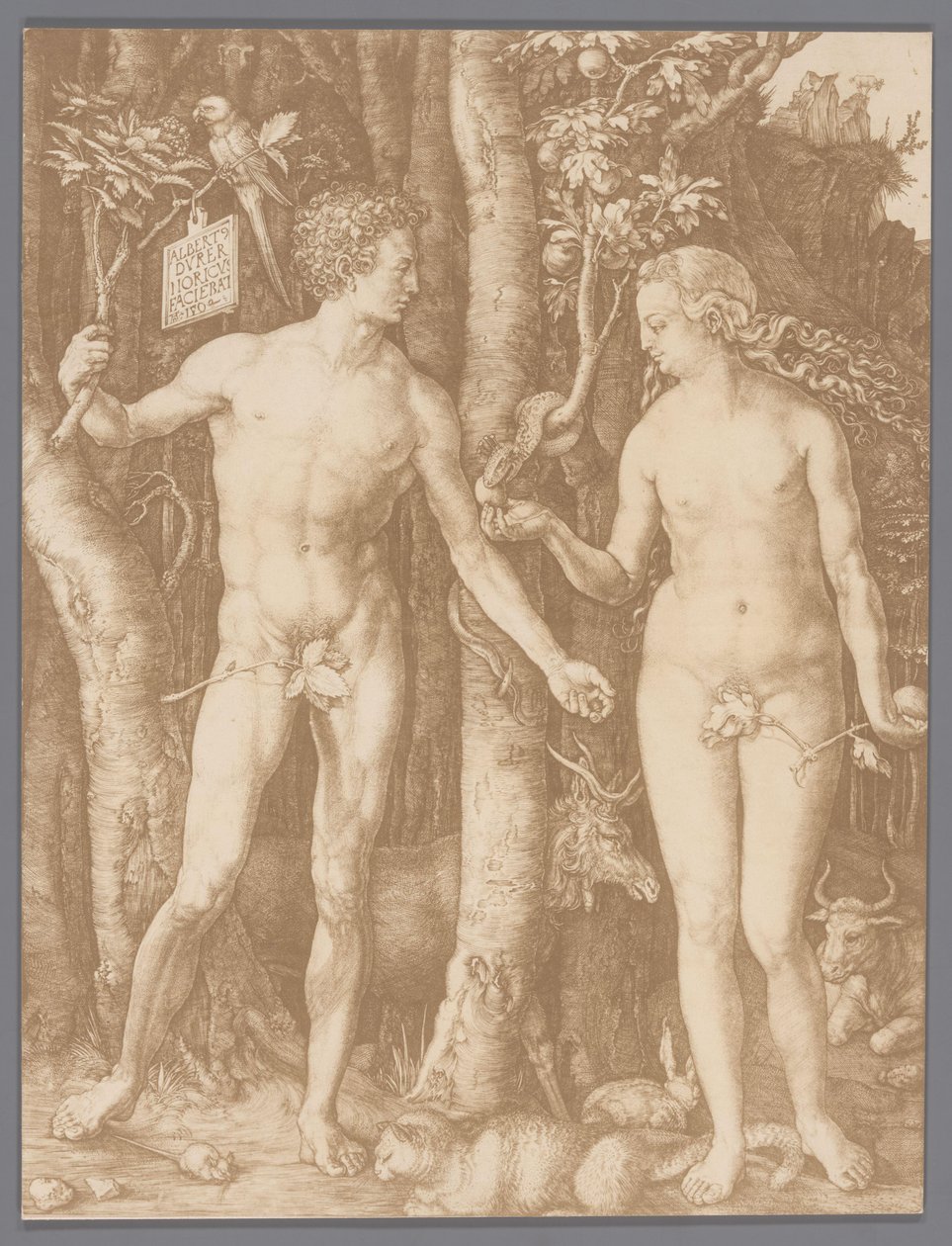Fotoreproduzione dell