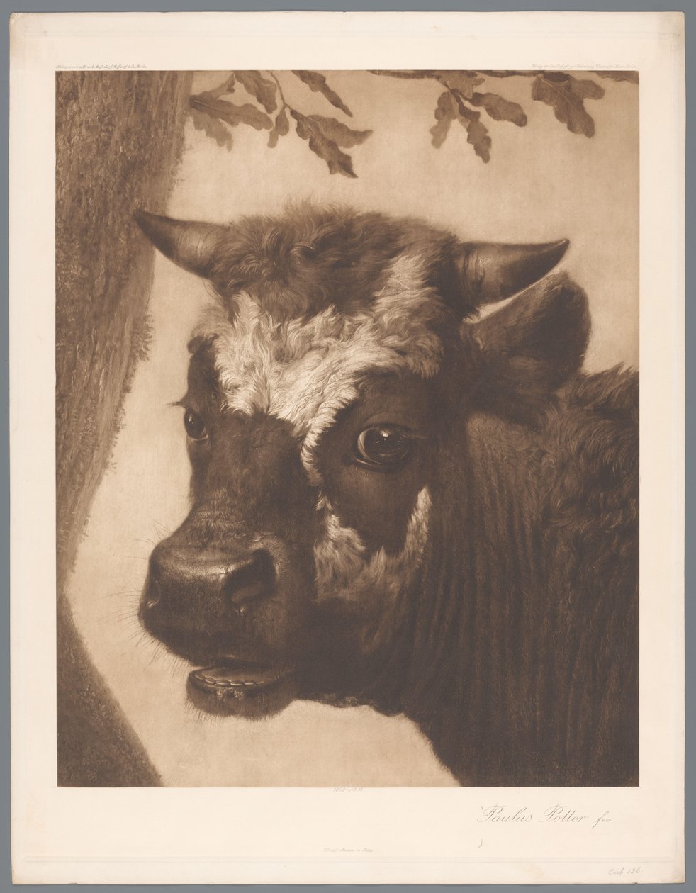 Riproduzione fotografica del dettaglio del dipinto Il toro di Paulus Potter, coll. Mauritshuis da Anonymous