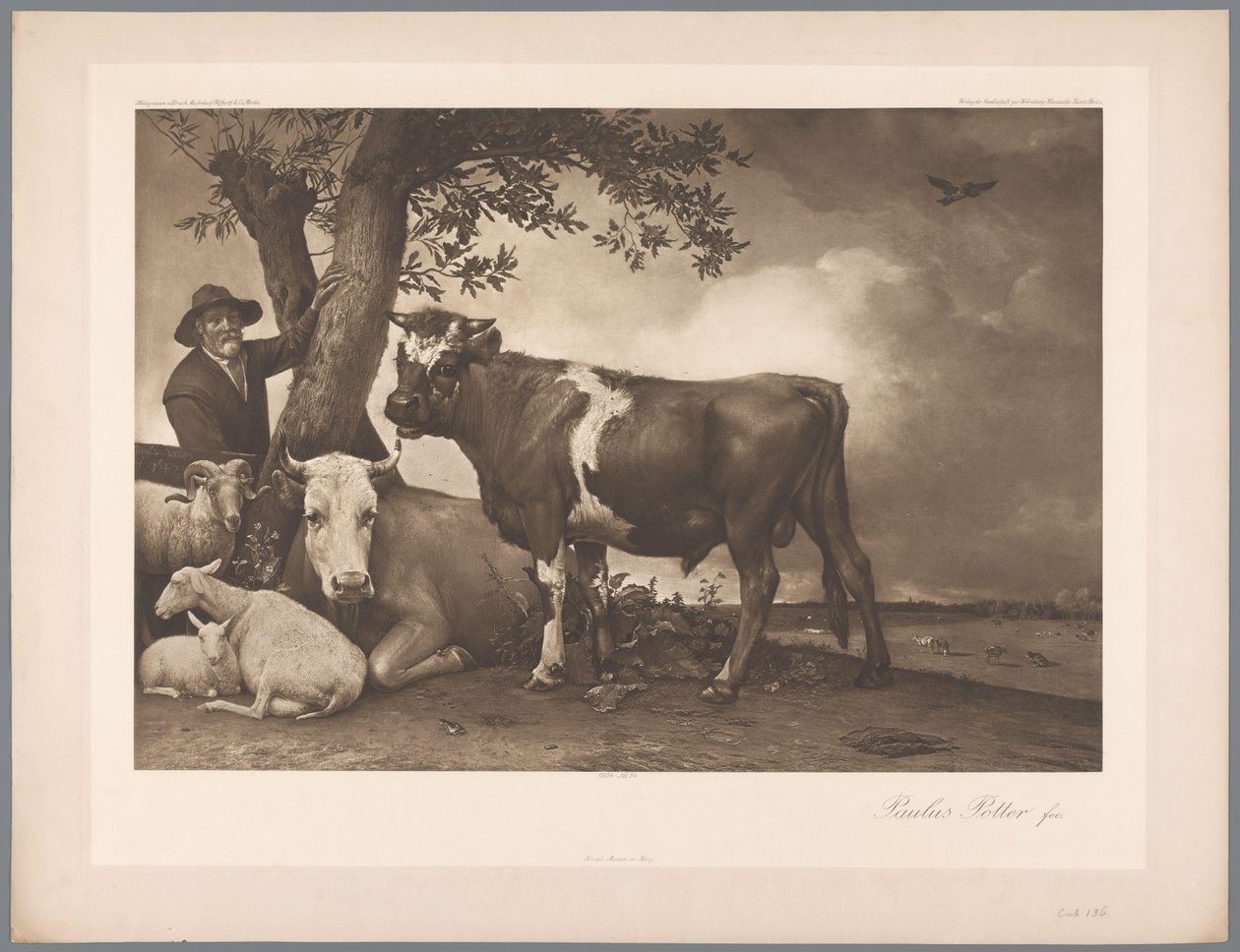 Riproduzione fotografica del dipinto Il toro di Paulus Potter, coll. Mauritshuis da Anonymous