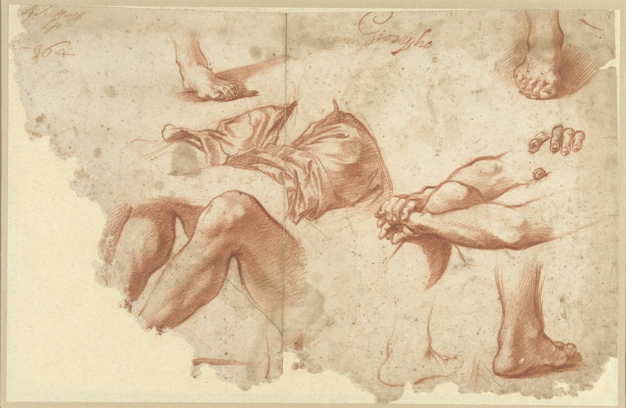 Frammento di foglio di studio con braccia, gambe, piedi da Anonymous