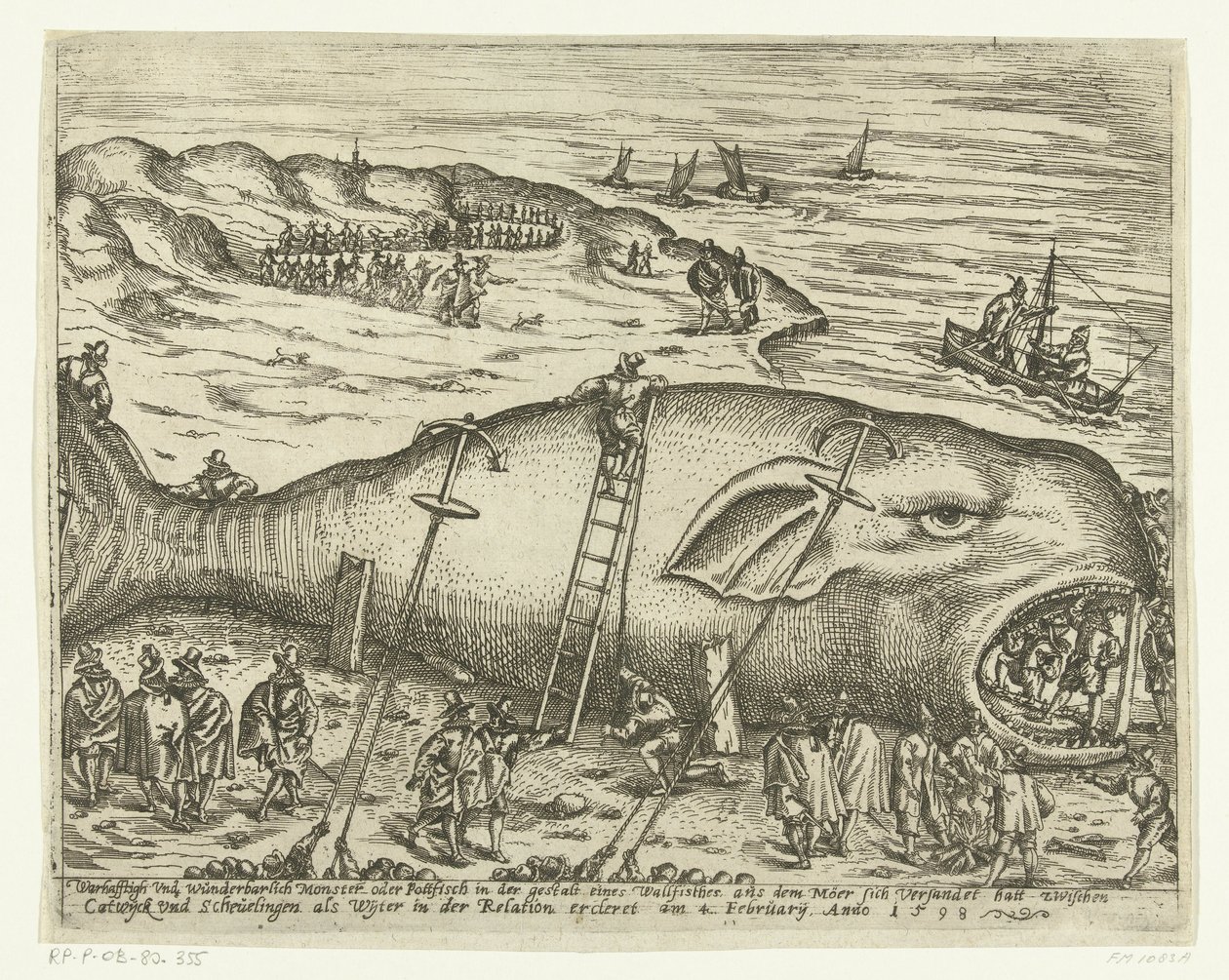Balena arenata a Berckhey, 1598 da Anonymous