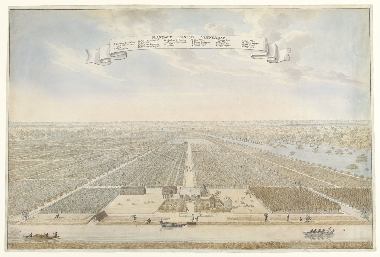 Veduta della piantagione Cornelis Vriendschap in Suriname da Anonymous