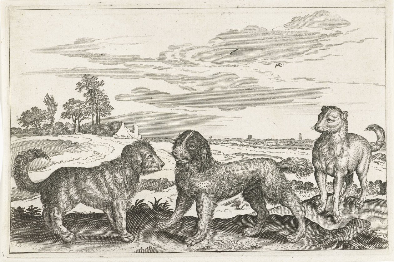 Cani (serie Animali quadrupedi) da Anonymous