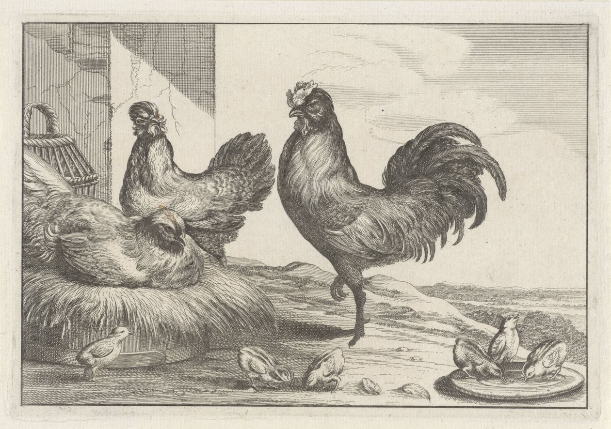 Gallina, galli e pulcini (Diversae avium species) da Anonymous