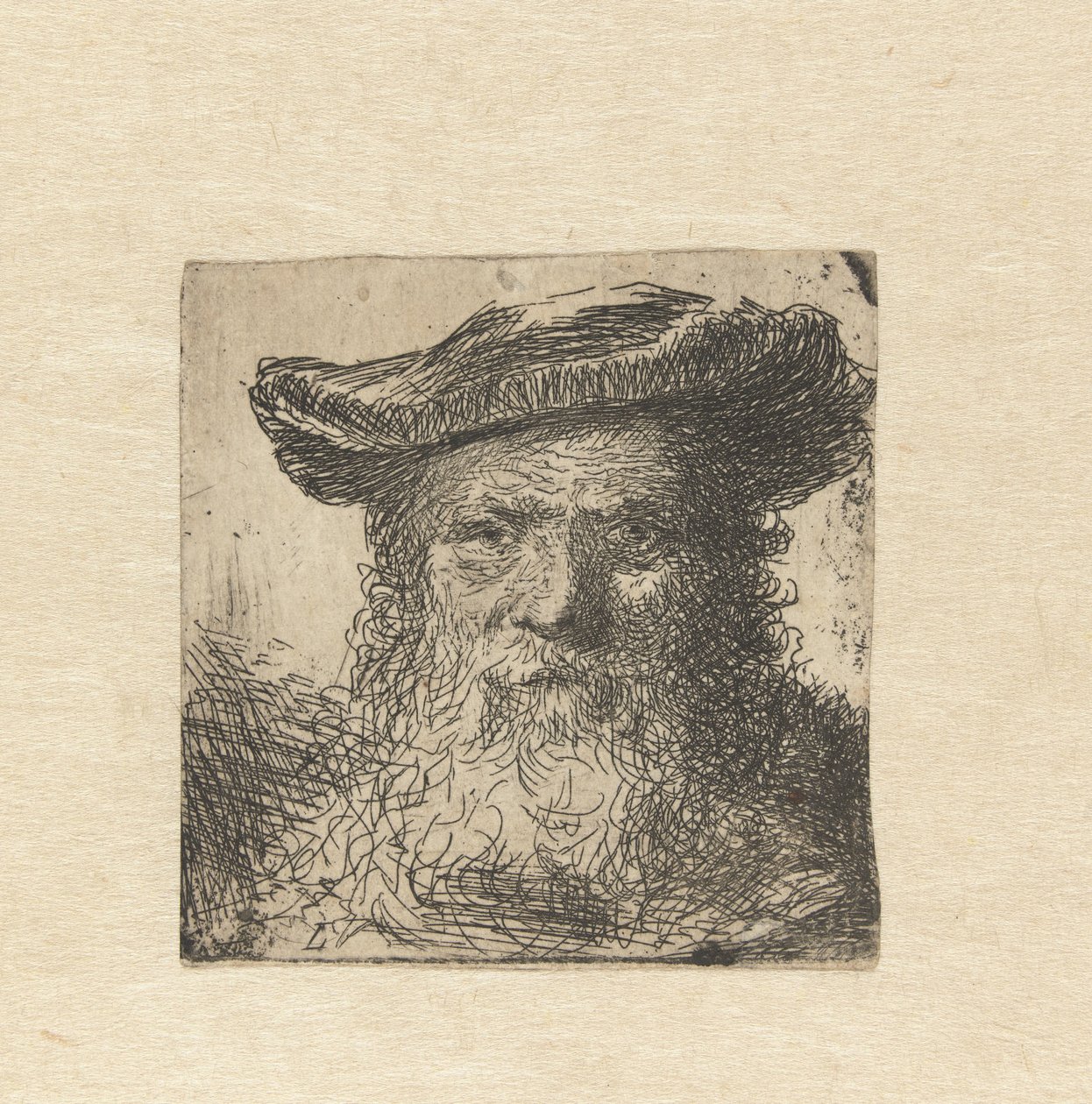 Testa di un vecchio con barba e cappello da Anonymous