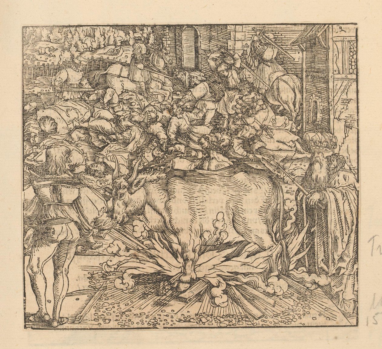Persone massacrate e un toro sacrificato da Anonymous