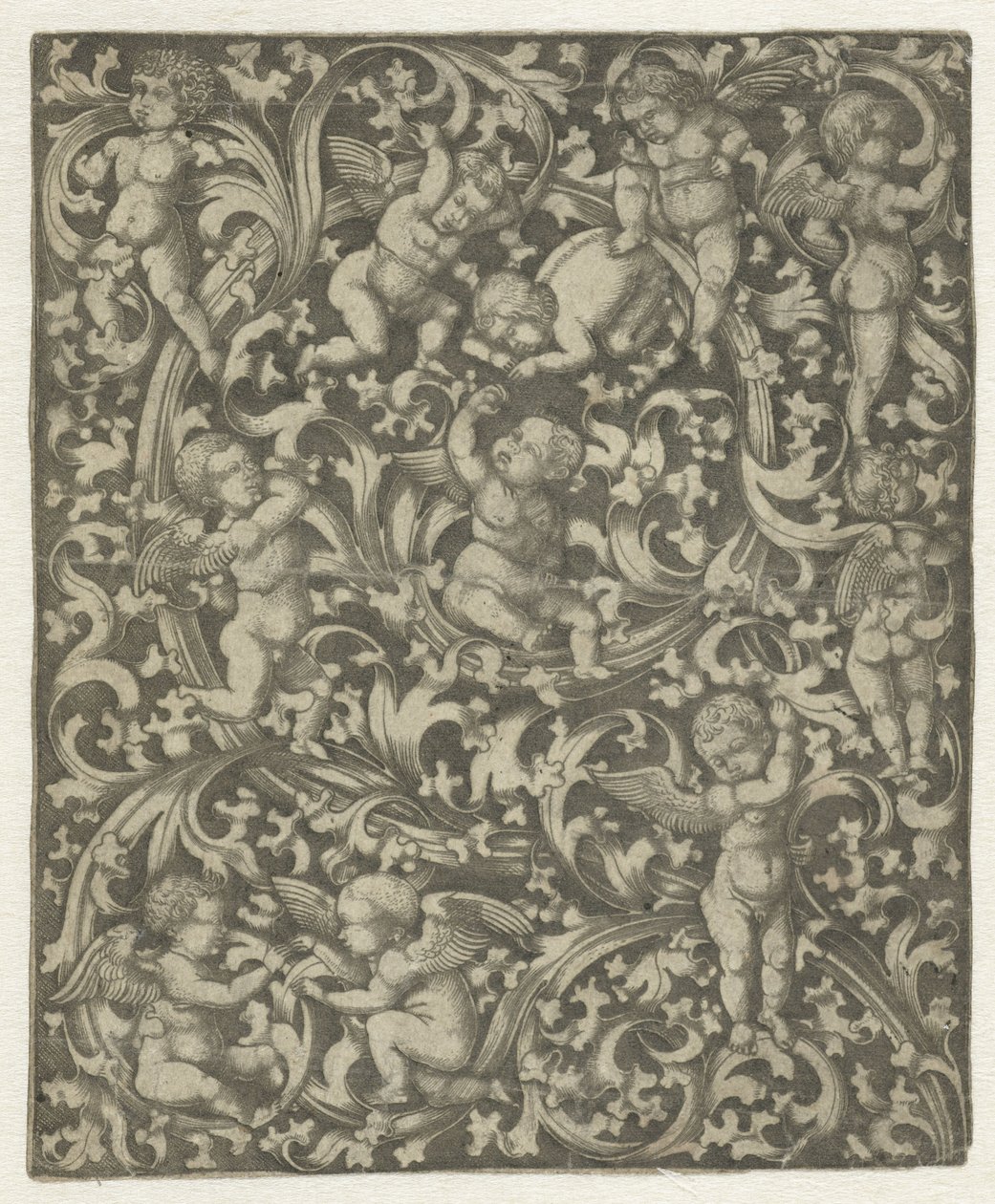 Ornamento con putti da Anonymous