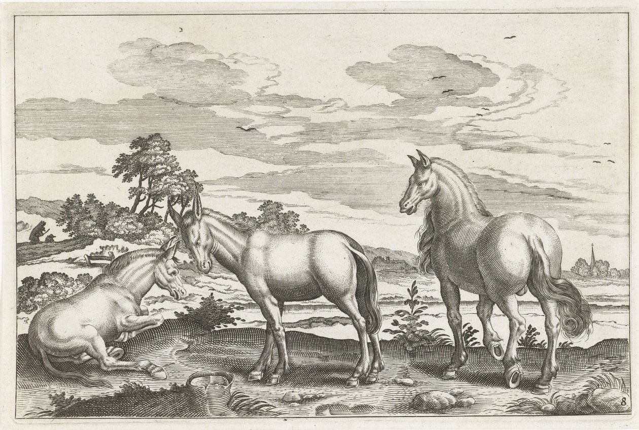 Cavallo e asini da Anonymous