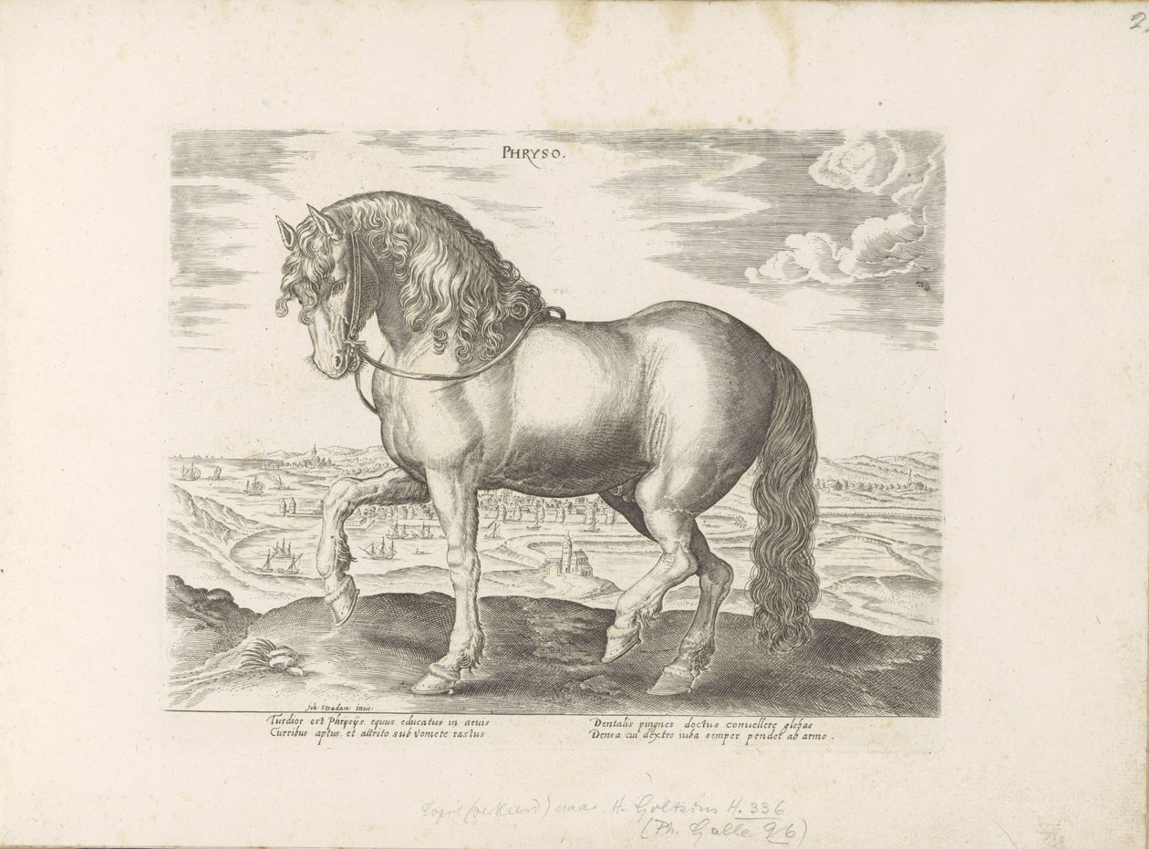 Cavallo della Frisia da Anonymous