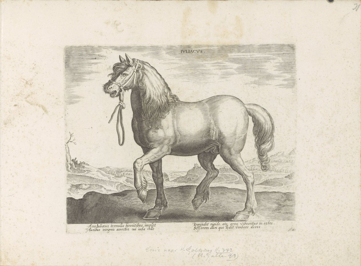 Cavallo di Gulik (Juliacus) da Anonymous