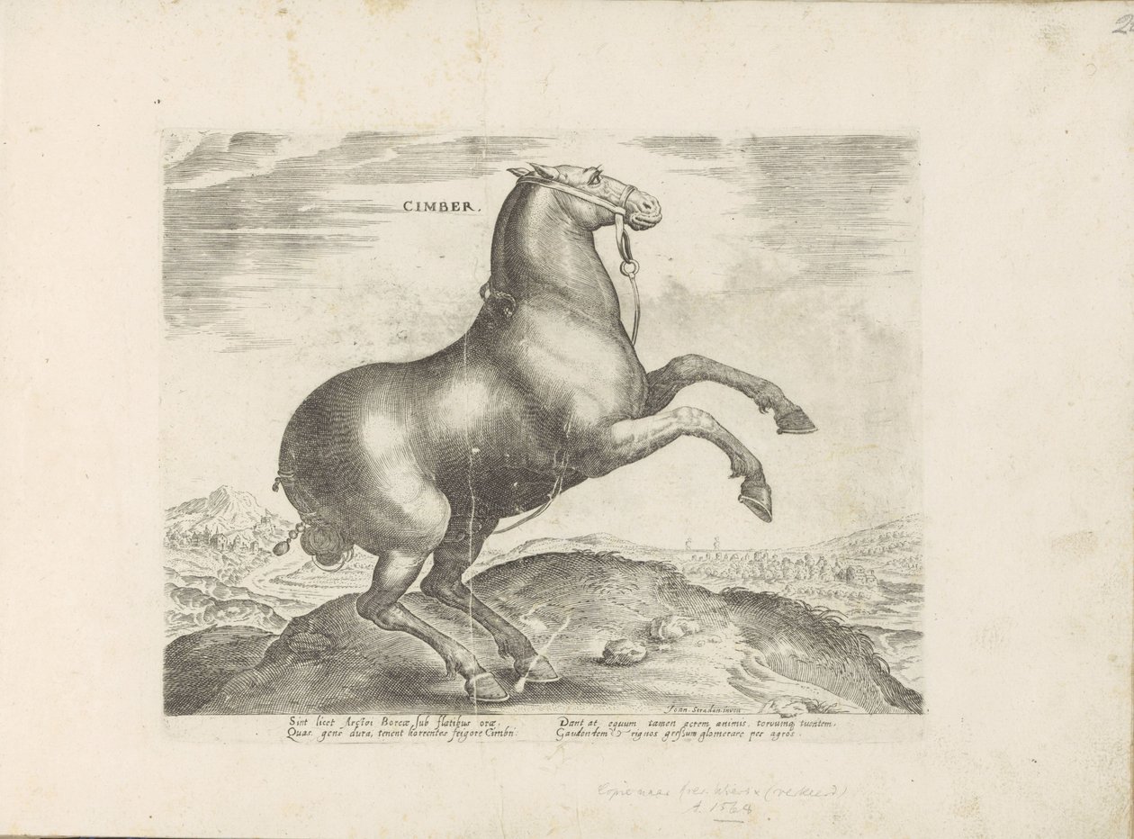 Cavallo dalla Scizia da Anonymous