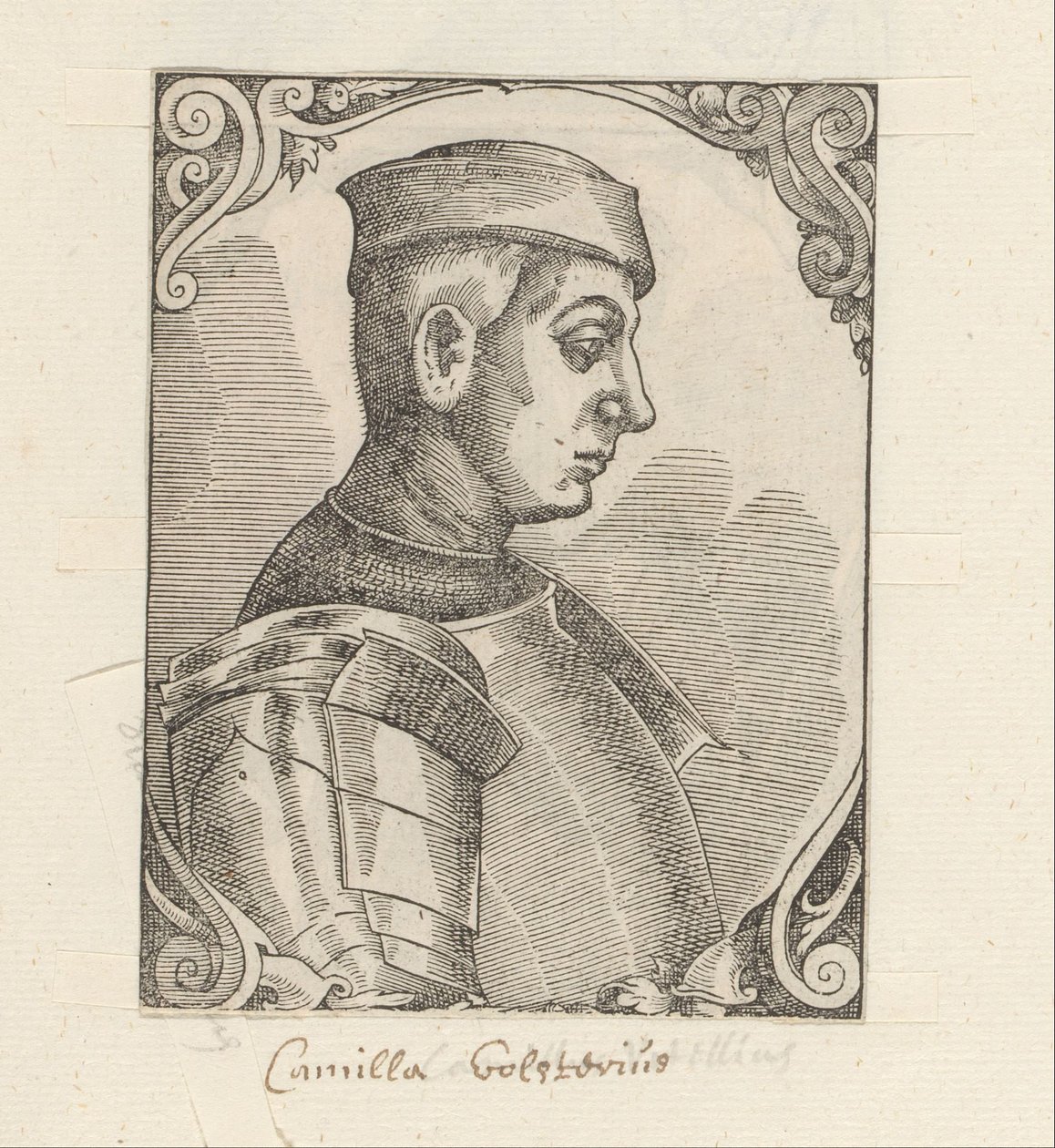 Ritratto di Camillus Vitellus da Anonymous