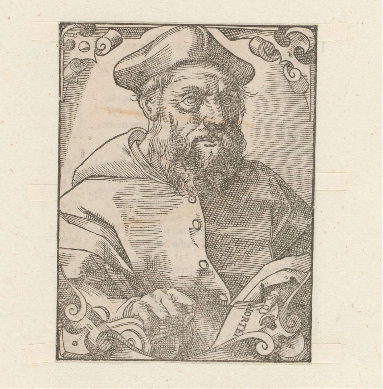 Ritratto di Jacopo Sadoleto da Anonymous