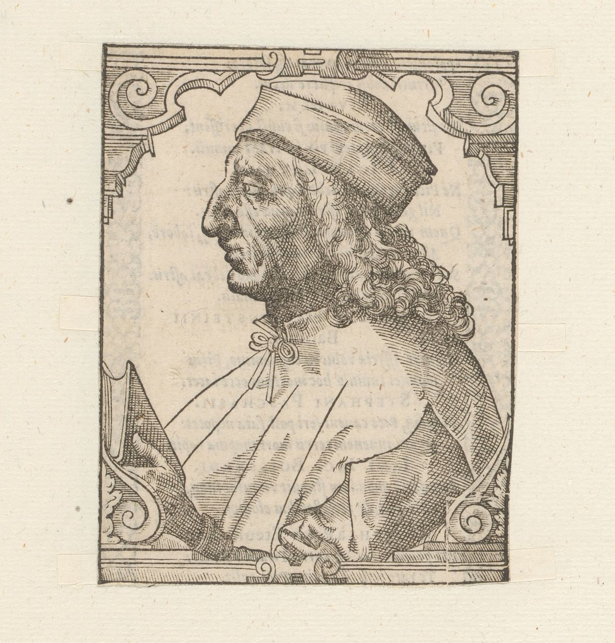 Ritratto di Giulio Pomponio Leto da Anonymous