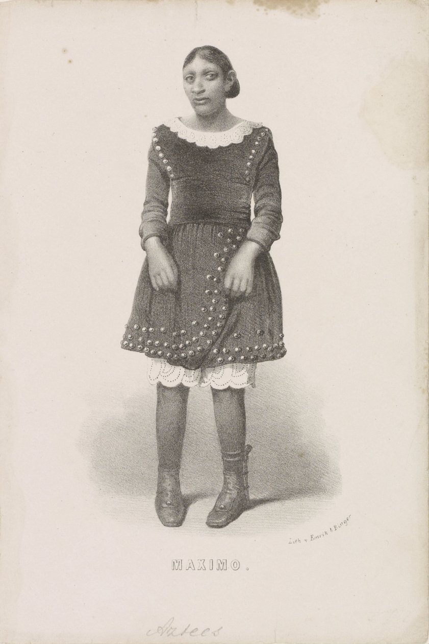 Ritratto di Máximo, 1857 da Anonymous