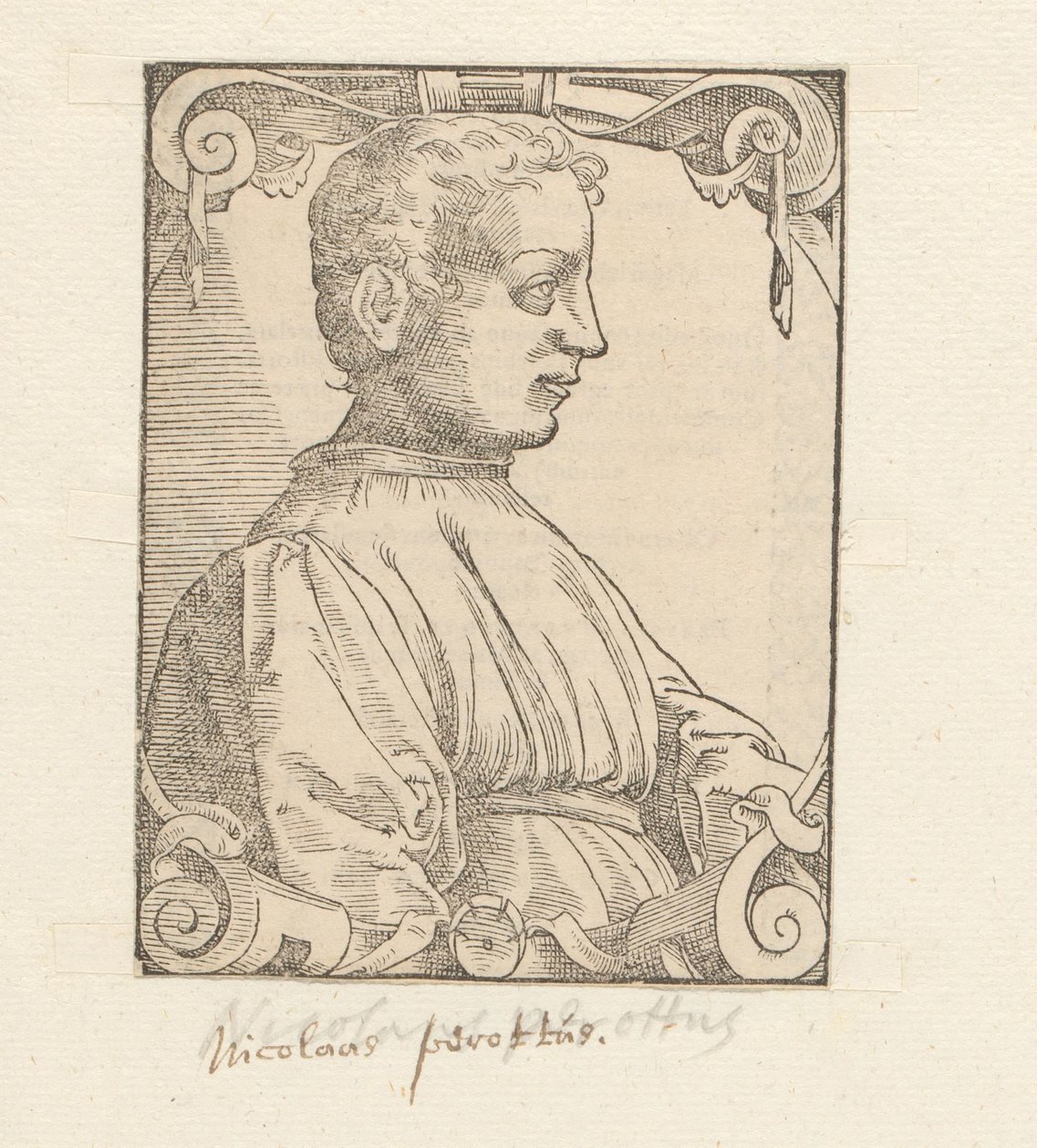 Ritratto di Niccolò Perotti da Anonymous