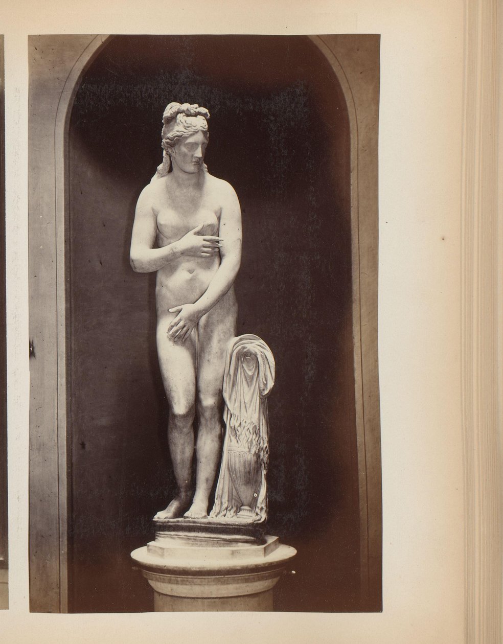 Scultura di Venere nei Musei Capitolini a Roma, Italia da Anonymous