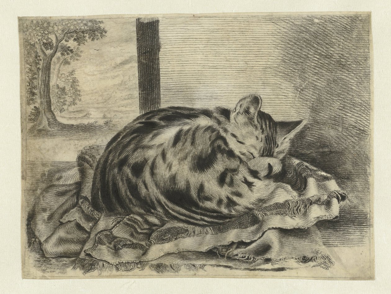 Gatto che dorme da Anonymous