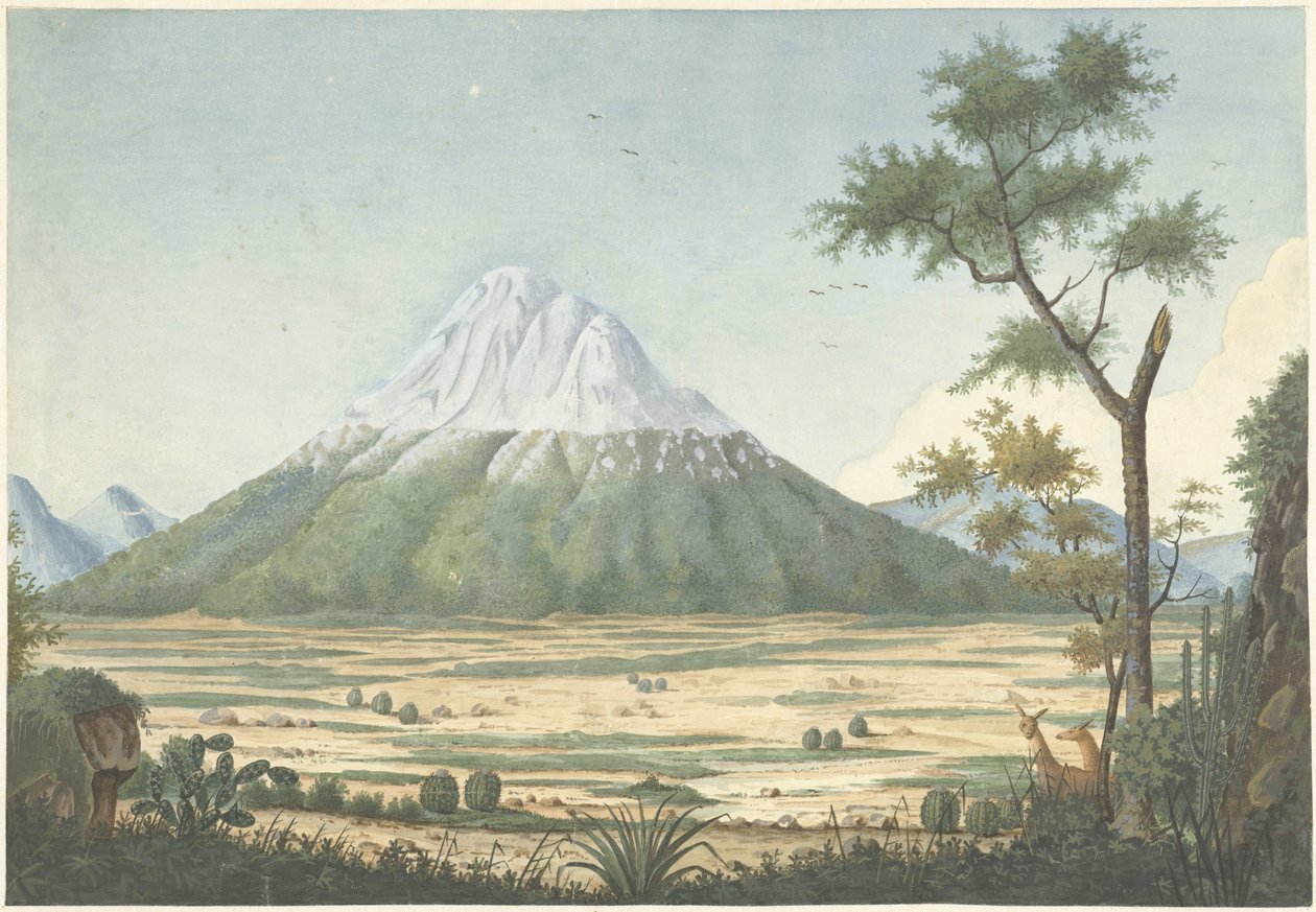 Paesaggio tropicale con montagne da Anonymous