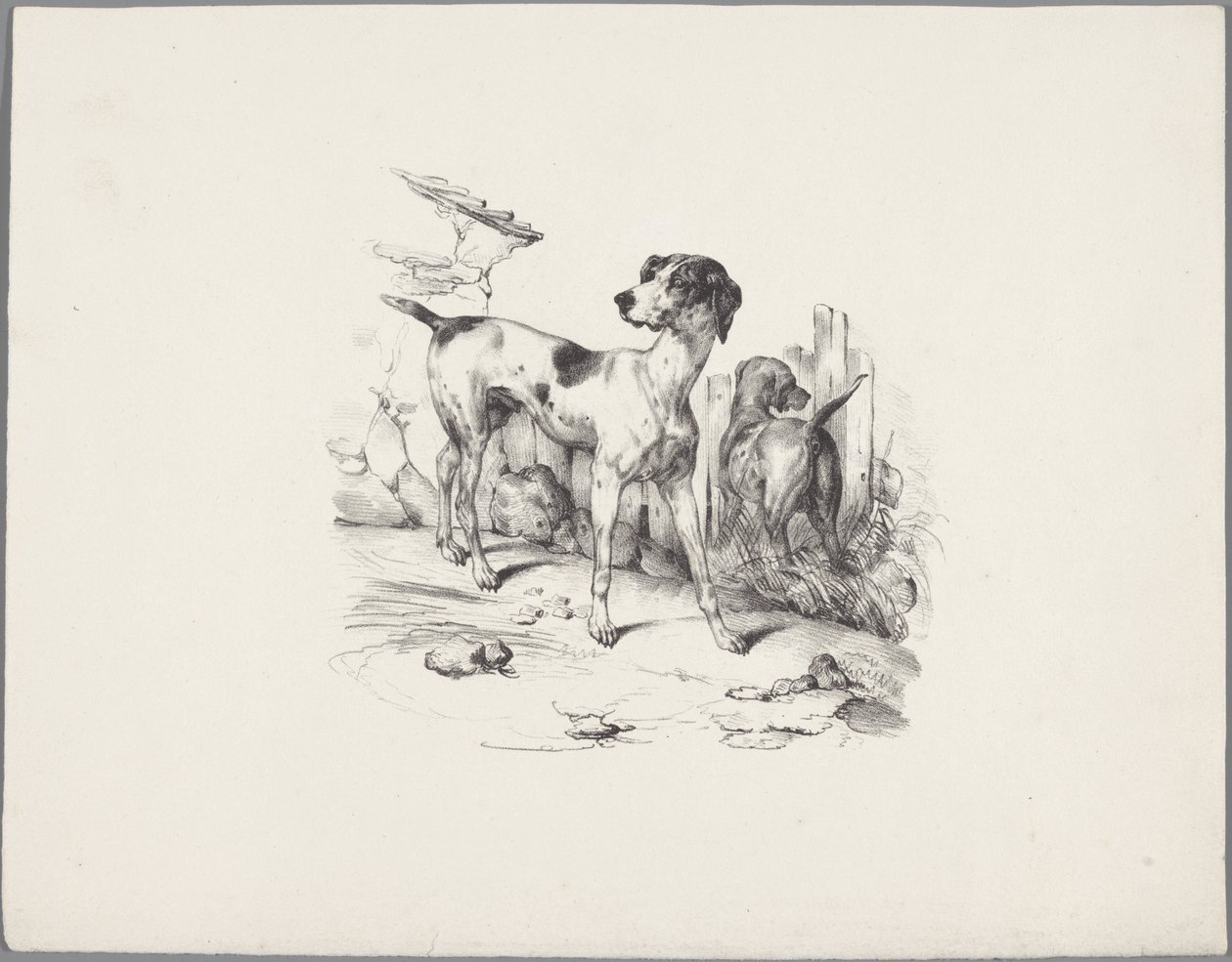 Due cani vicino a una recinzione (Zes kleine dierenstudies, Zestal kleine beesten-studien) da Anonymous