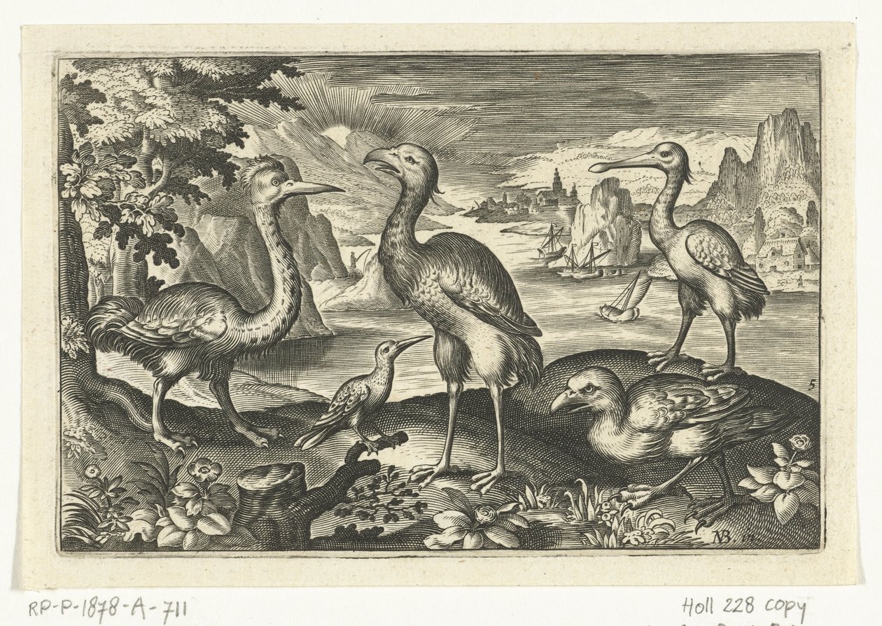 Cinque uccelli tra cui un ibis (Vogels en insecten) da Anonymous