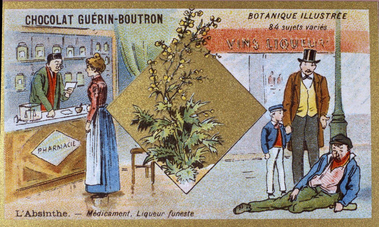 Assenzio: medicina e liquore mortale. Incisione (cromo). Cromolitografia pubblicitaria per i cioccolatini Guerin-Boutron, fine XIX secolo. Serie botanica illustrata. da Anonymous Anonymous