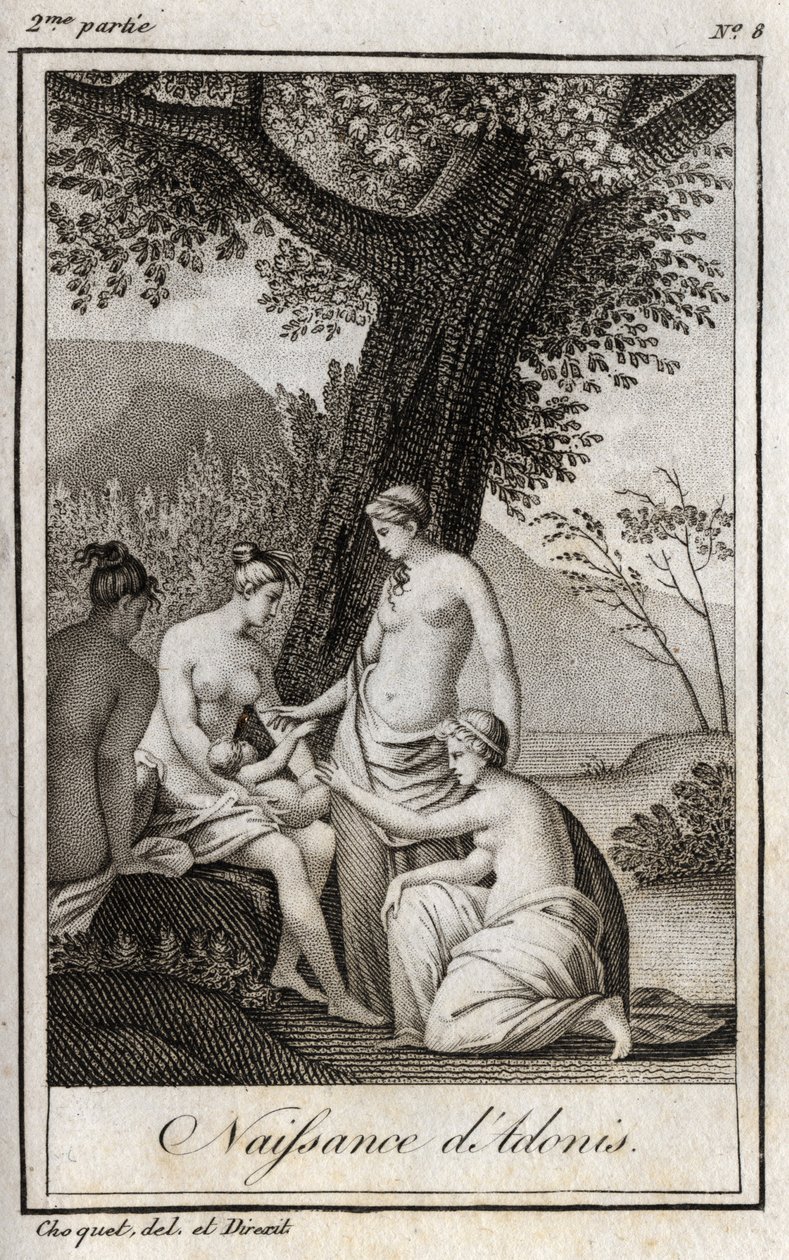 Adone nasce. Incisione del 1819 in 