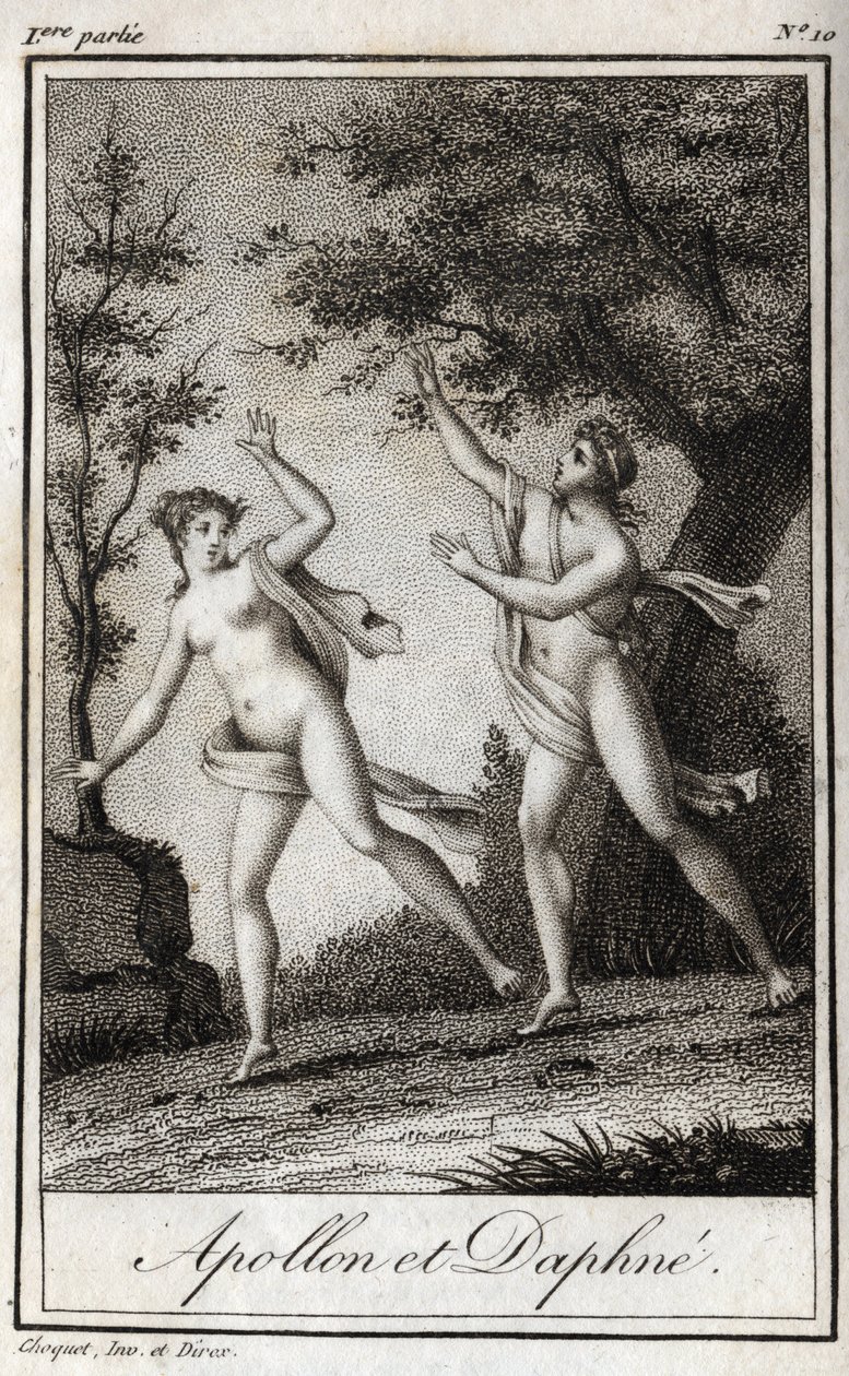 Apollo e Dafne. La ninfa Dafne si trasforma in un alloro per sfuggire ad Apollo. Incisione del 1819 in 