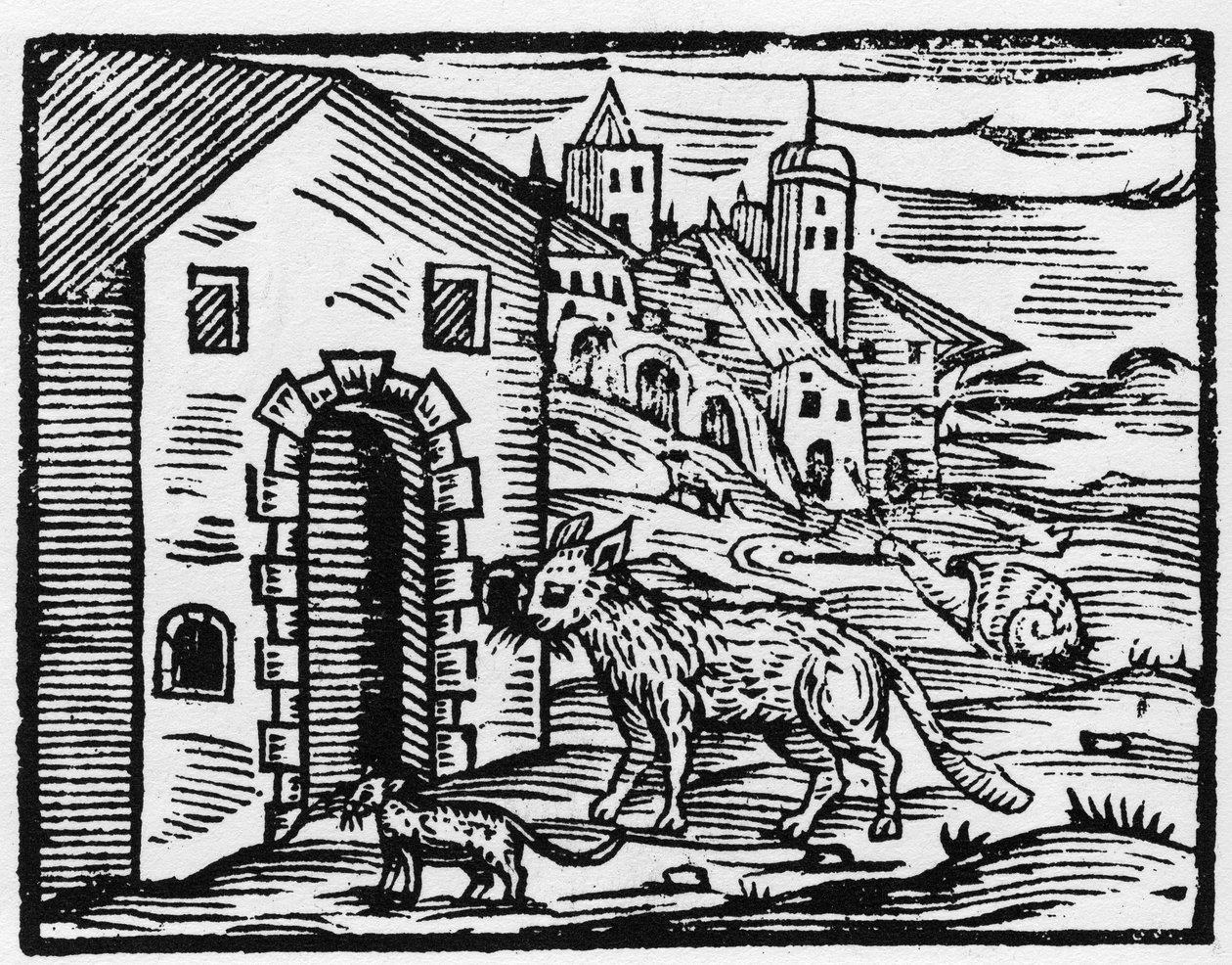 Il diavolo e la strega si trasformano in lupo e gatto - 