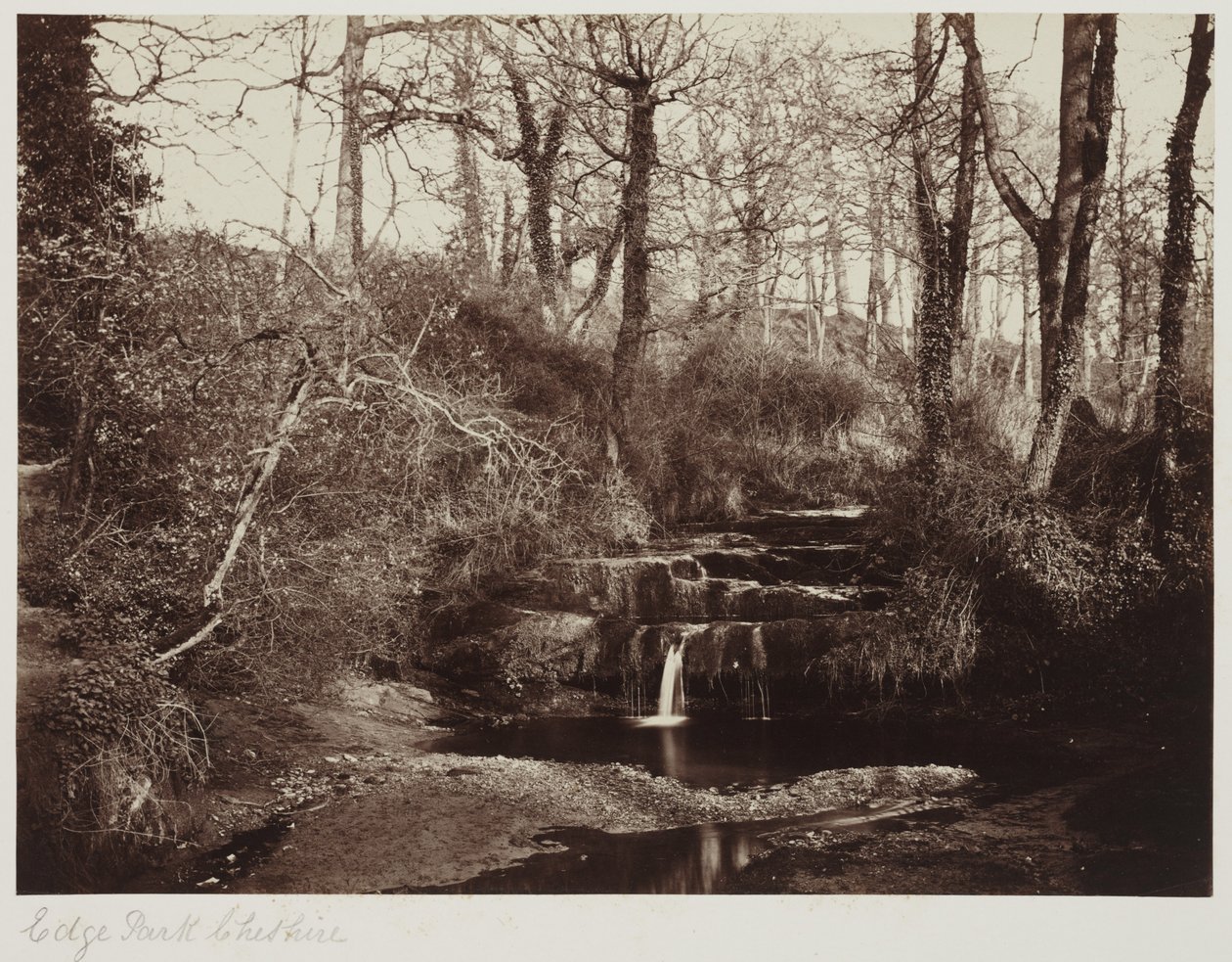 Edge Park, Cheshire, c.1865 da Anonymous Anonymous