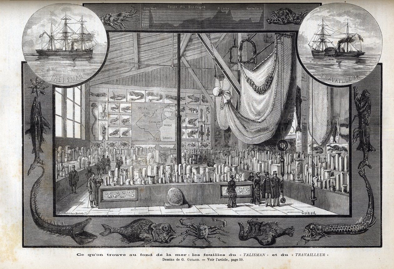 Esposizione al Museo di Storia Naturale di Parigi delle collezioni formate durante le crociere - Spedizioni scientifiche del Travailleur e del Talisman durante gli anni 1880 da Anonymous Anonymous