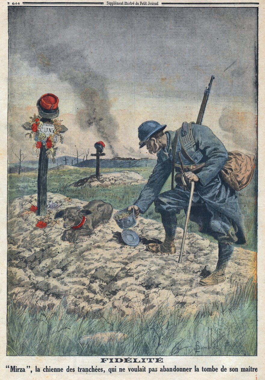 Prima Guerra Mondiale 1914-1918. Un cane rifiuta di abbandonare la tomba del suo padrone morto in trincea. In "Le Petite Journal", il 10/09/1916. Collezione privata da Anonymous Anonymous
