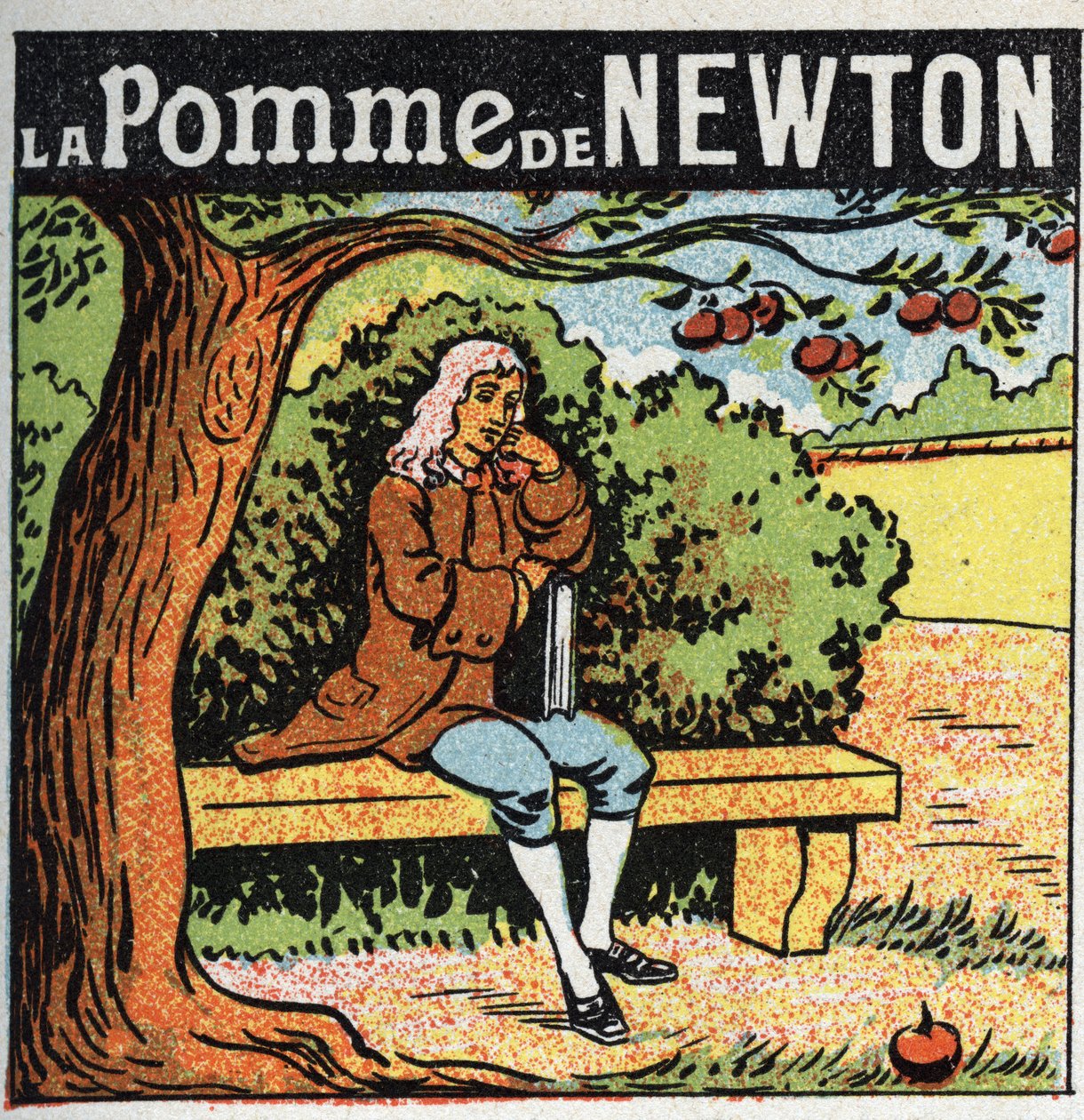 Gravitazione: la mela di Newton. Isaac Newton osserva una mela cadere da un albero e scopre le leggi della gravità terrestre. da Anonymous Anonymous