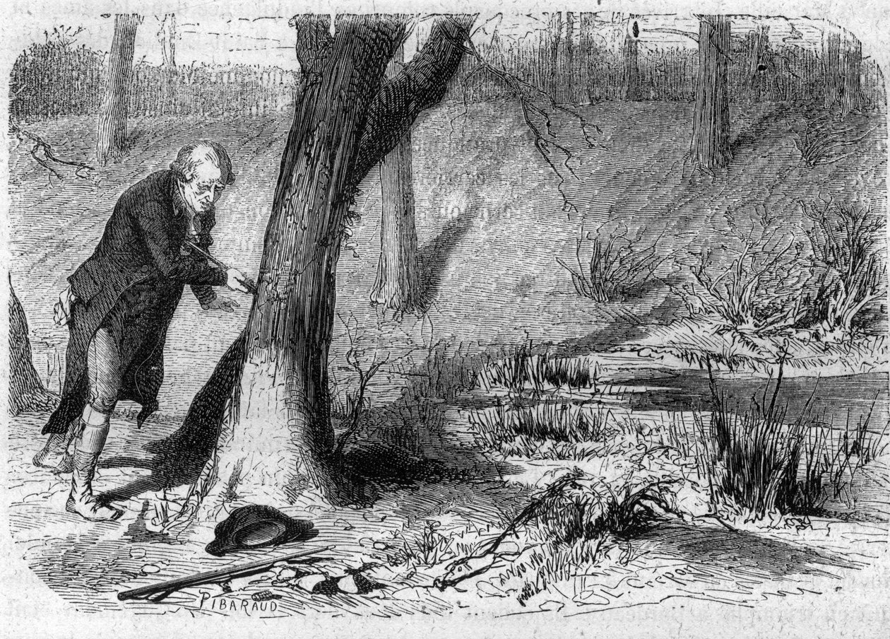 JEAN-MARIE ROLAND DE LA PLATIERE statista inglese, raffigurato nel momento della sua morte autoinflitta cadendo sulla propria spada - Suicidio di Jean Marie Roland, visconte de la Platiere (1734-1793) - Incisione in "Histoire des Girondins" di Alphonse de  da Anonymous Anonymous
