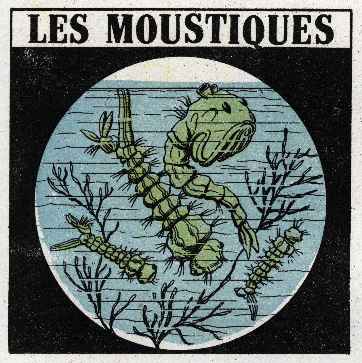 Proiezione della luce: uso di una lanterna di proiezione per osservare le larve di zanzara. Illustrazione anonima del 1925. Collezione privata. da Anonymous Anonymous