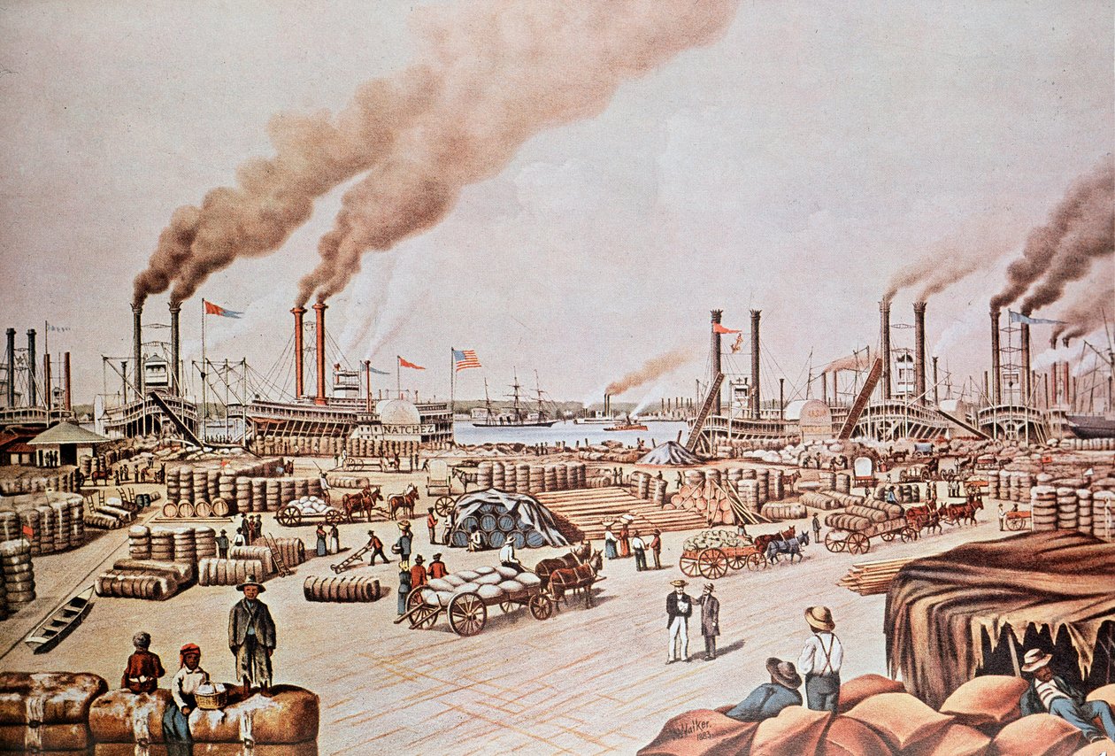 Porto di New Orleans: carico di cotone. 1876 da Anonymous Anonymous