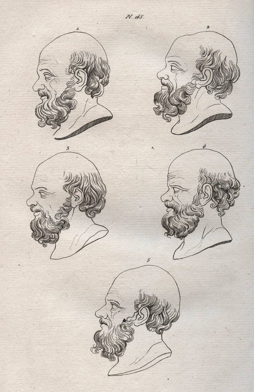Fisiognomia - Fisiognomonia - Diverse teste del filosofo greco Socrate (ca. 469 a.C.-399 a.C.) (Busto di Socrate (ca 469 a.C.-399 a.C.), filosofo ateniese) incisione del 1808 in "L