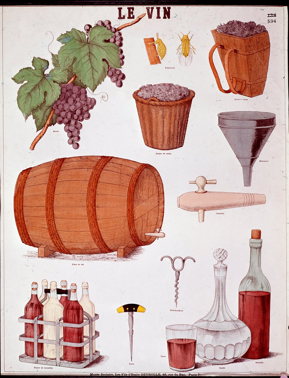 Tavola illustrata sull