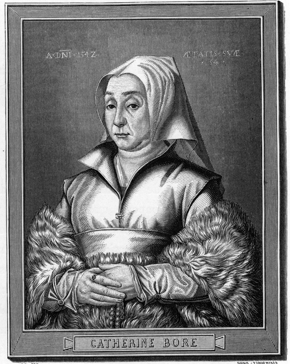 Ritratto di Katharina von Bora da Anonymous Anonymous