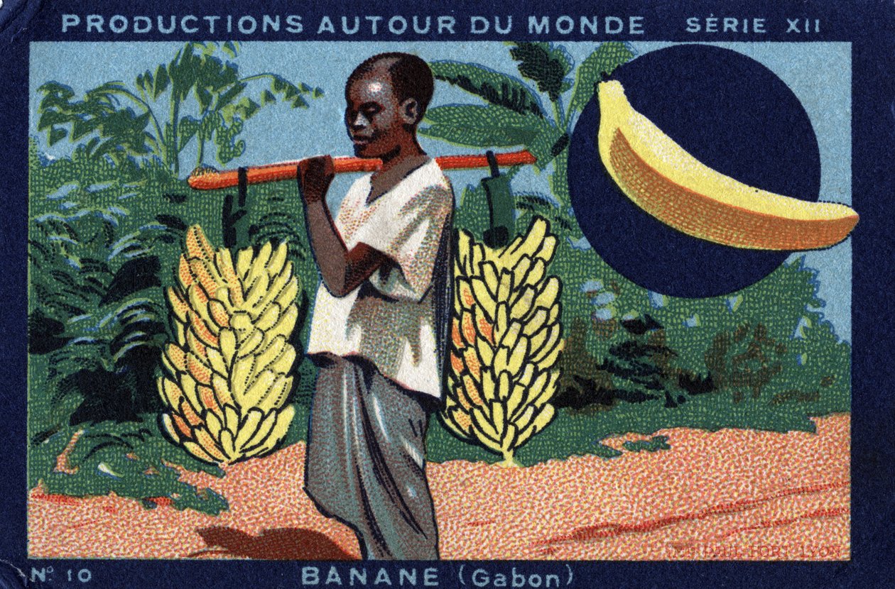 Produzioni nel mondo: Banana in Gabon. Cromolitografia del 1933 in "Album Joseph-Milliat" da Anonymous Anonymous