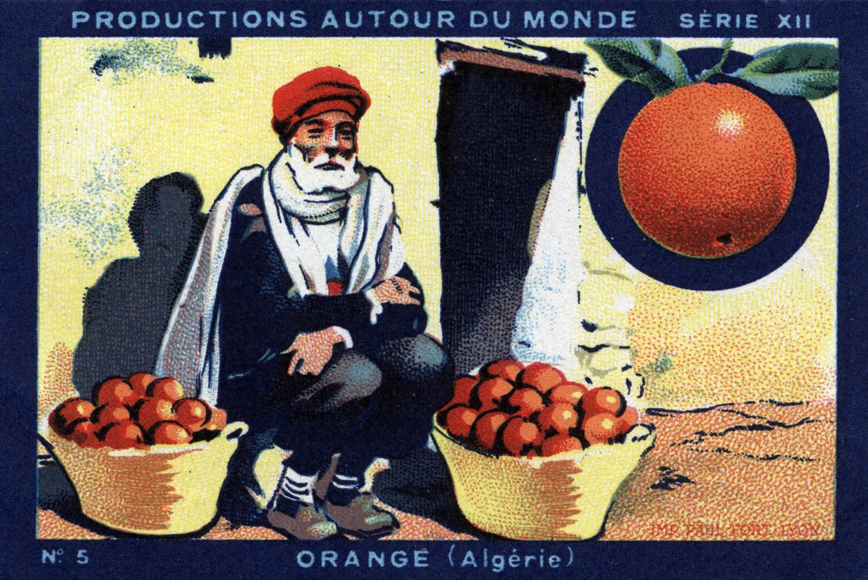 Produzioni nel mondo: arancia in Algeria. Cromolitografia del 1933 in "Album Joseph-Milliat" da Anonymous Anonymous