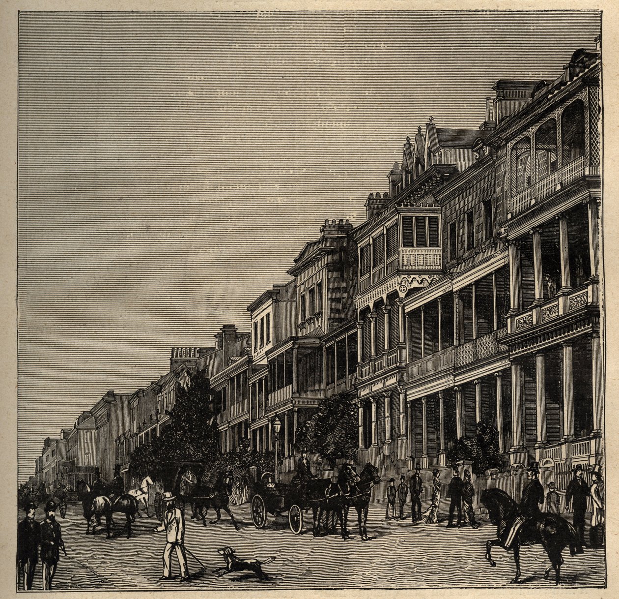 Sydney - Australia - 1890 - incisione 1890 da Anonymous Anonymous